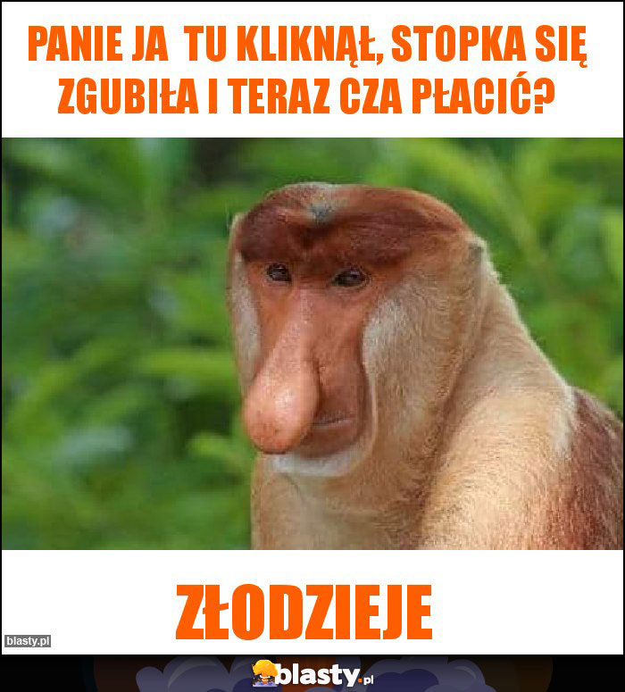 Panie ja tu kliknął, stopka się zgubiła i teraz cza płacić? Panie ja tu kliknął, stopka się zgubiła i teraz cza płacić?