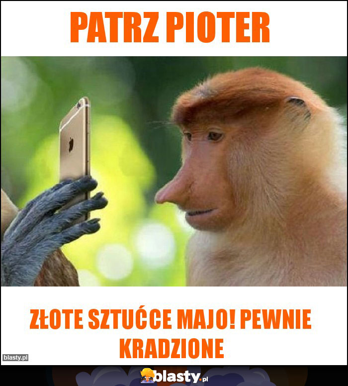 Patrz pioter Patrz pioter