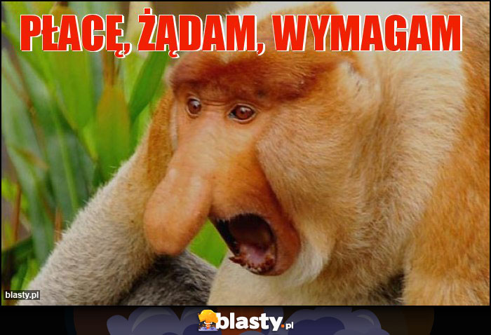 Płacę, żądam, wymagam Płacę, żądam, wymagam