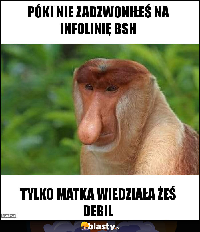 Póki nie zadzwoniłeś na infolinię BSH Póki nie zadzwoniłeś na infolinię BSH