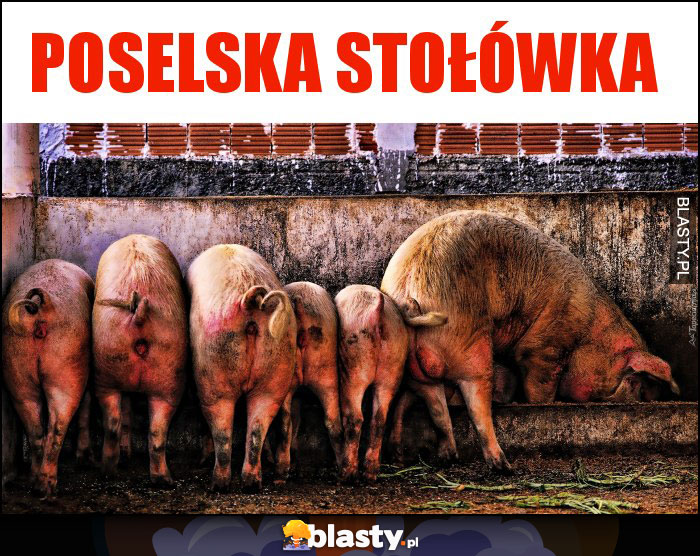 Poselska stołówka Poselska stołówka