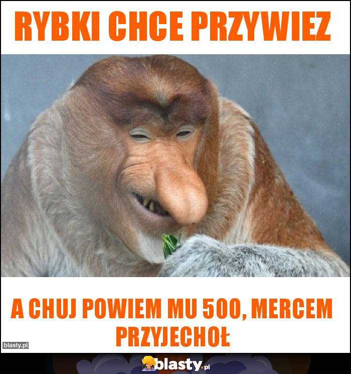 Rybki chce przywiez Rybki chce przywiez