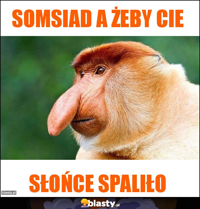 Somsiad a żeby cie Somsiad a żeby cie