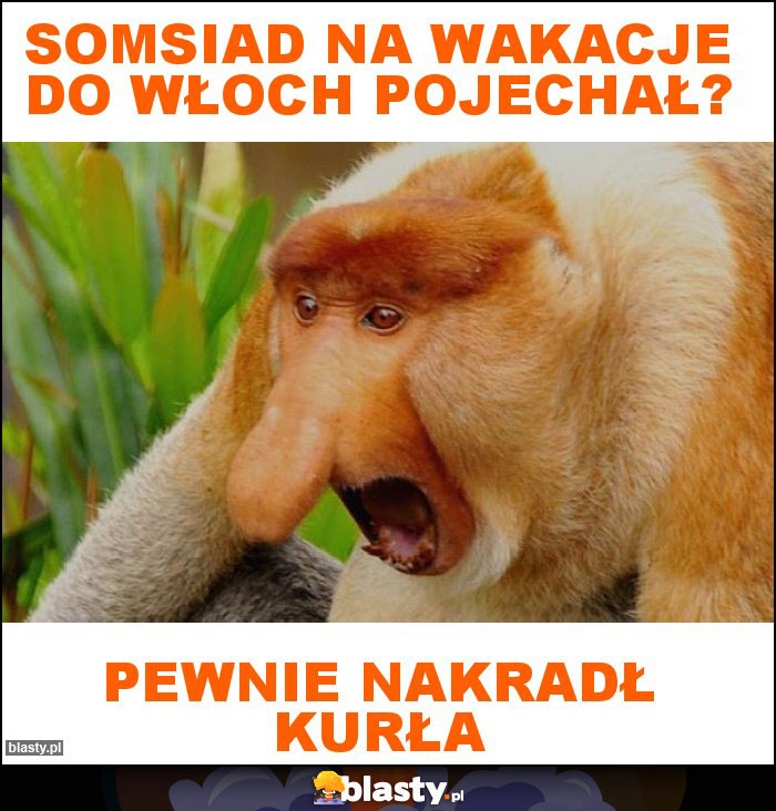 Somsiad na wakacje do Włoch pojechał? Somsiad na wakacje do Włoch pojechał?