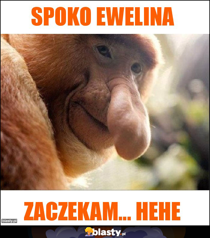 spoko ewelina spoko ewelina