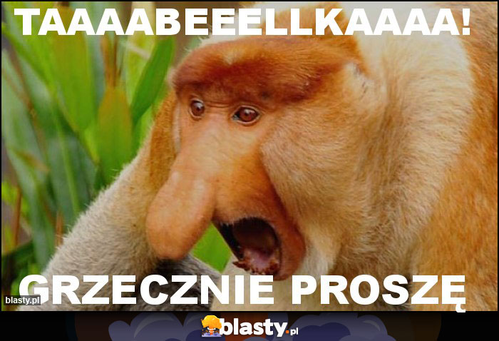TAAAABEEELLKAAAA! TAAAABEEELLKAAAA!