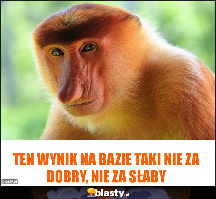 Ten wynik na bazie taki nie za dobry, nie za słaby Ten wynik na bazie taki nie za dobry, nie za słaby
