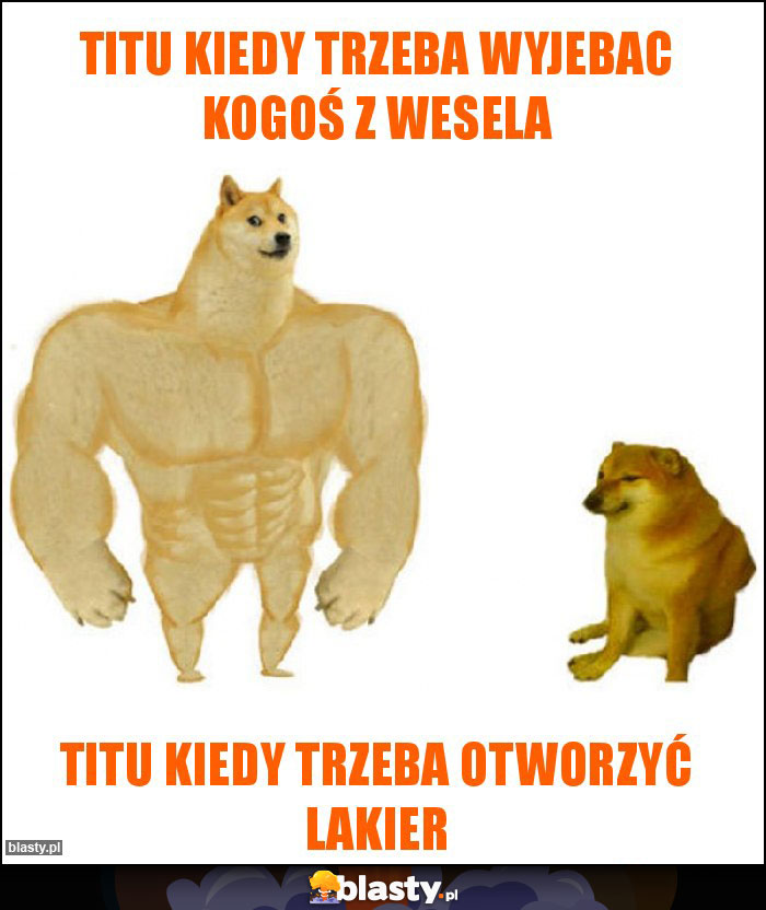 Titu kiedy trzeba wyjebac kogoś z wesela Titu kiedy trzeba wyjebac kogoś z wesela
