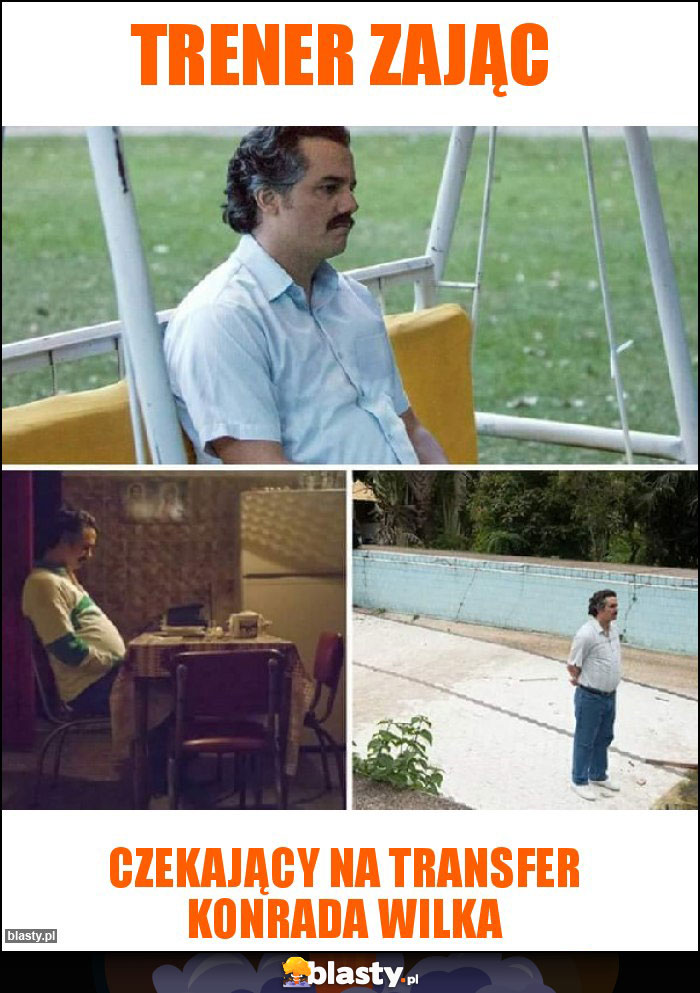 Trener Zając Trener Zając
