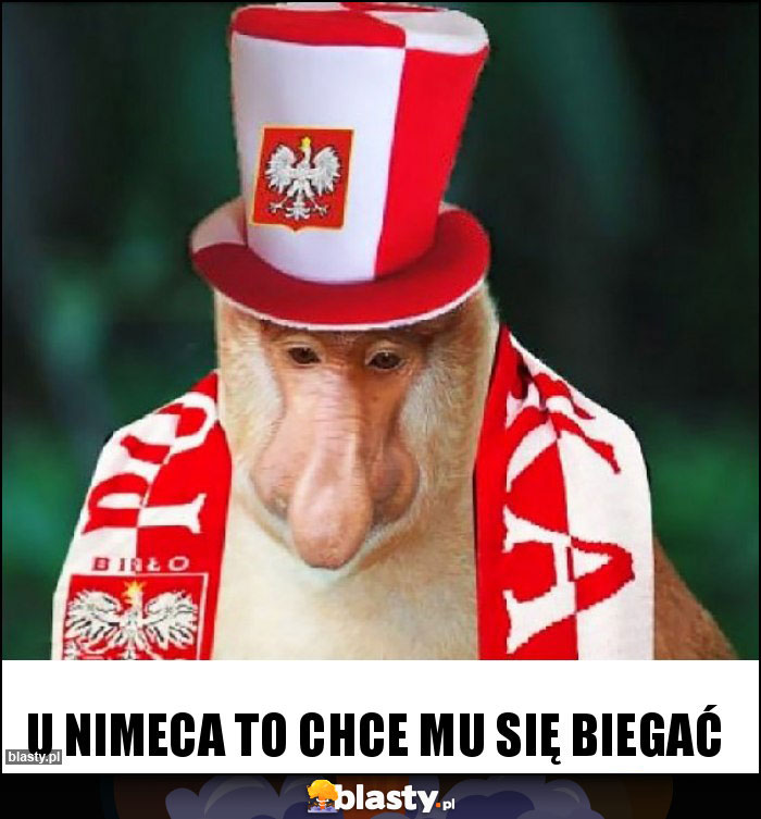 U nimeca to chce mu się biegać U nimeca to chce mu się biegać