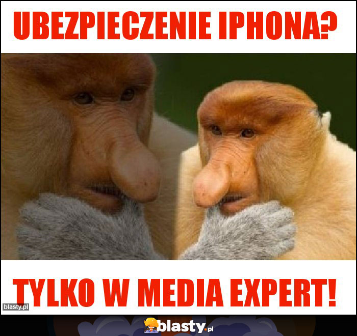 Ubezpieczenie iphona?