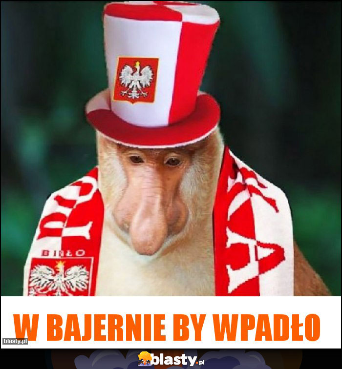 W Bajernie by wpadło W Bajernie by wpadło