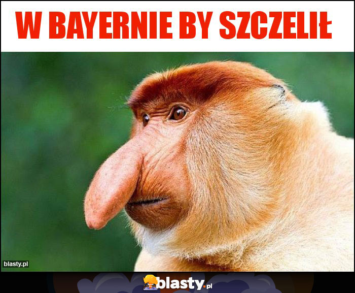 W Bayernie by szczelił W Bayernie by szczelił