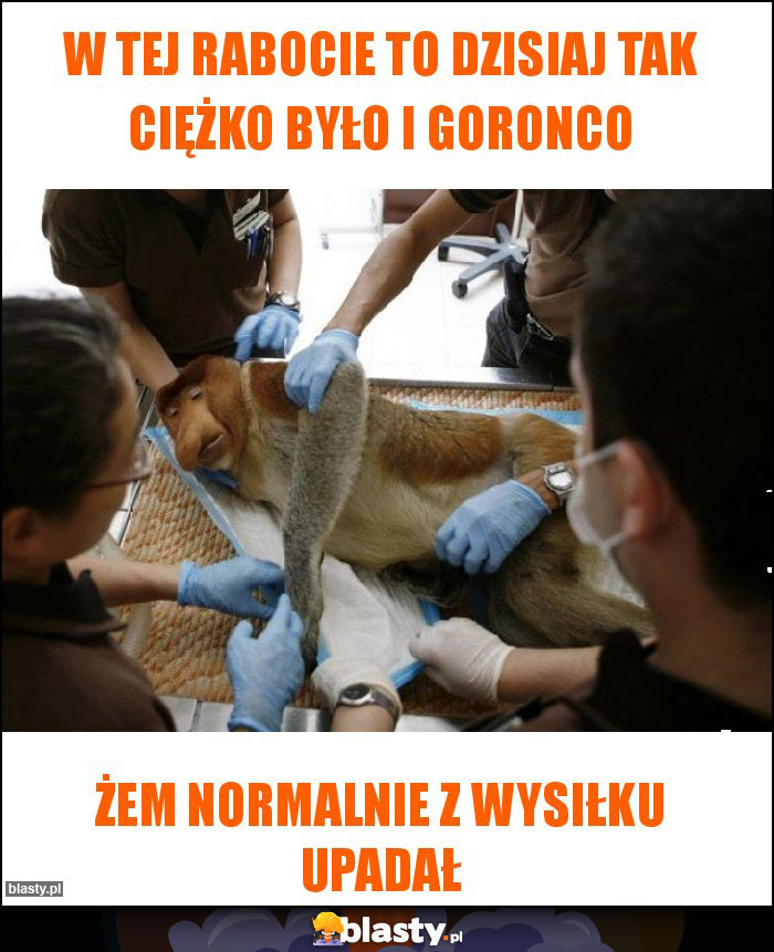 W tej rabocie to dzisiaj tak ciężko było i goronco W tej rabocie to dzisiaj tak ciężko było i goronco