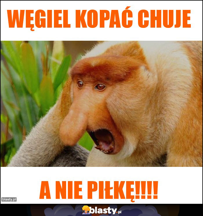 Węgiel kopać chuje Węgiel kopać chuje