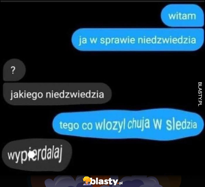 Witam ja w sprawie niedźwiedzia, jakiego? Tego co włożył w śledzia sms smsy