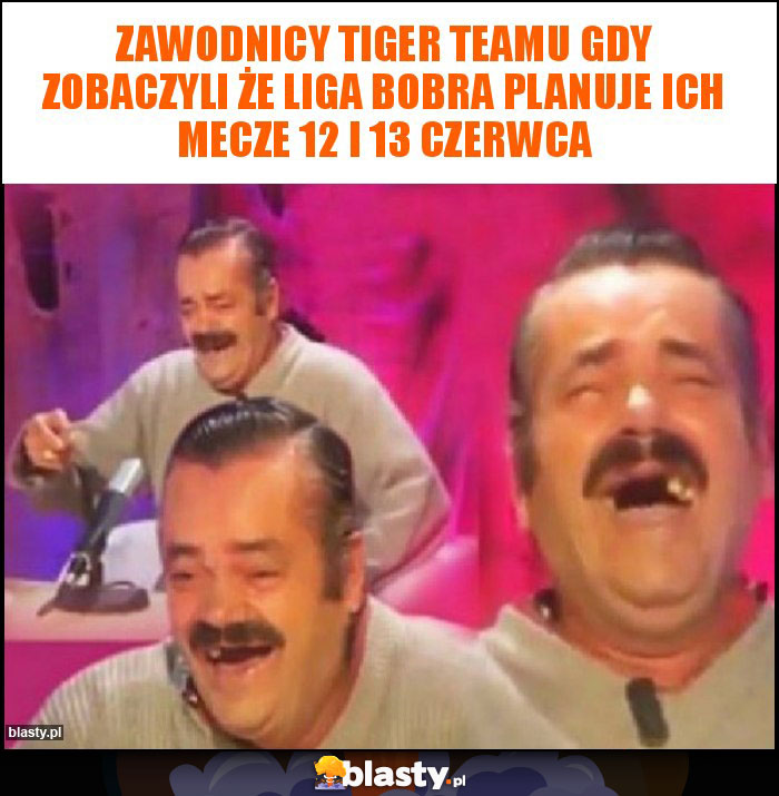 Zawodnicy Tiger teamu gdy zobaczyli że Liga bobra planuje ich mecze 12 i 13 czerwca Zawodnicy Tiger teamu gdy zobaczyli że Liga bobra planuje ich mecze 12 i 13 czerwca