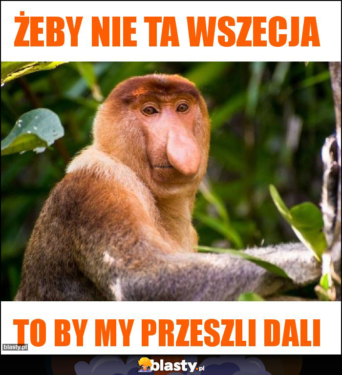 Żeby nie ta wszecja Żeby nie ta wszecja