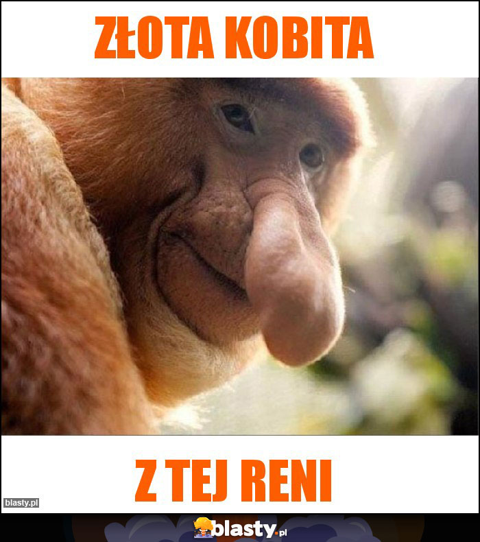 ZŁOTA KOBITA ZŁOTA KOBITA