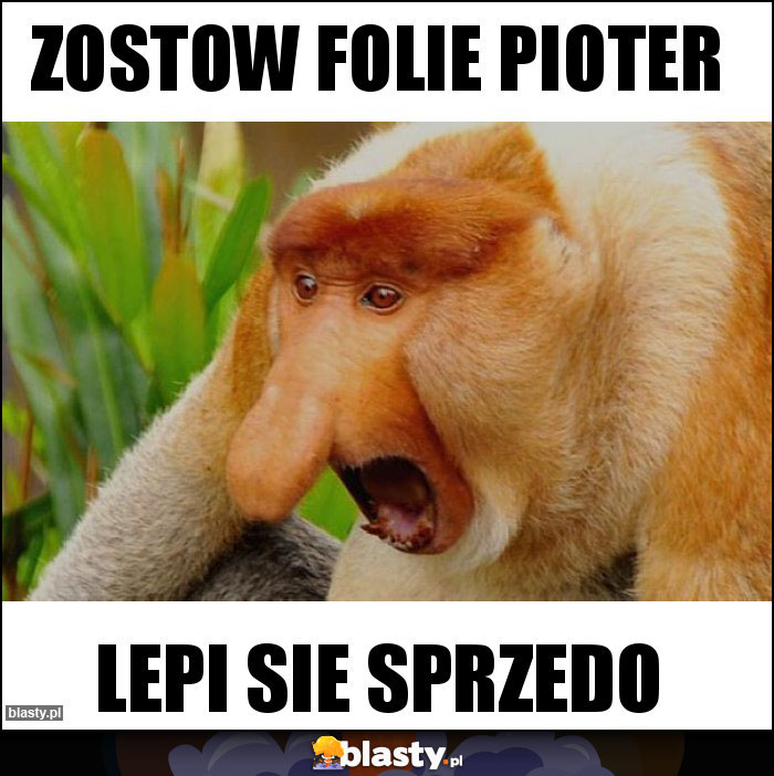 Zostow folie Pioter Zostow folie Pioter