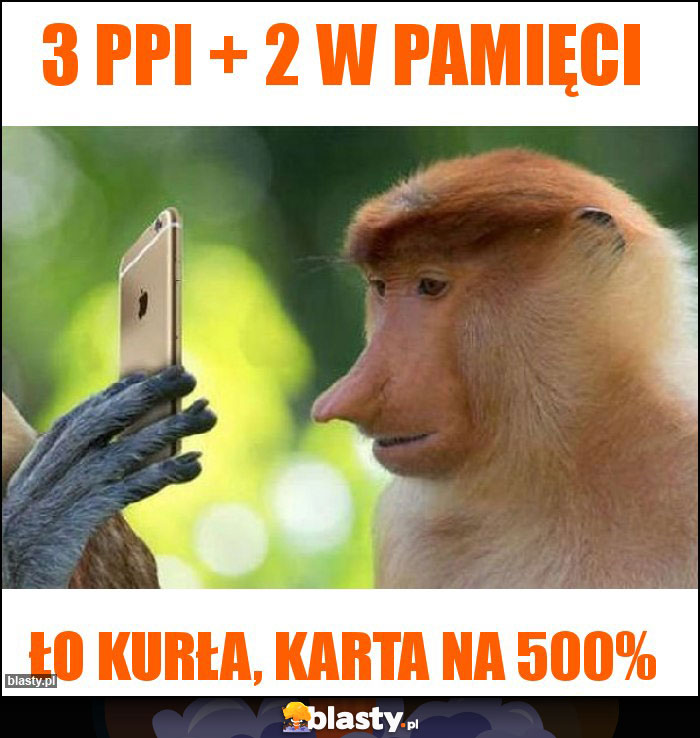 3 PPI + 2 w pamięci 3 PPI + 2 w pamięci