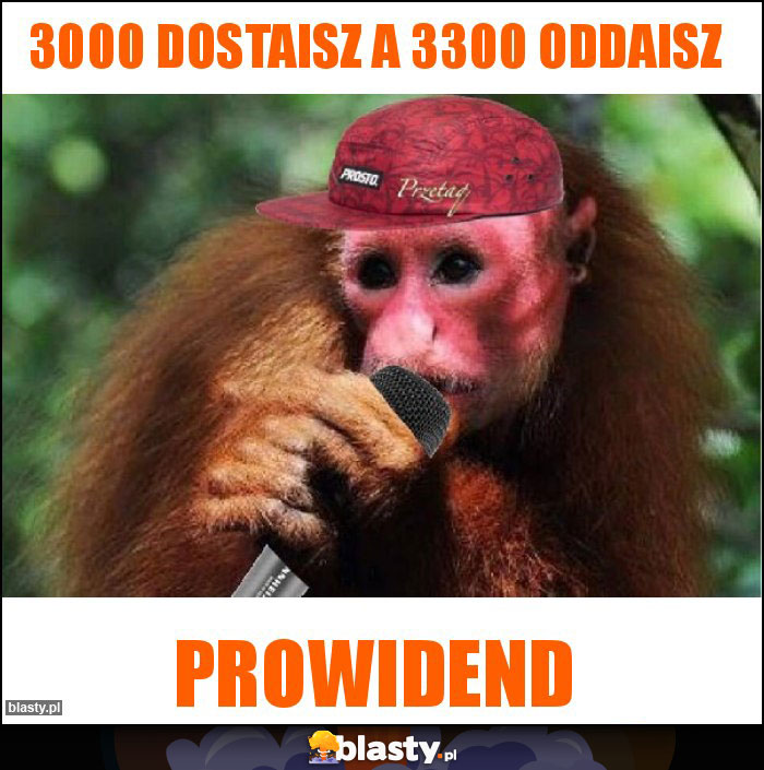 3000 dostaisz a 3300 oddaisz 3000 dostaisz a 3300 oddaisz