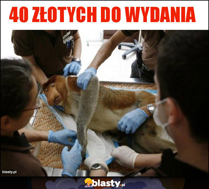 40 złotych do wydania 40 złotych do wydania