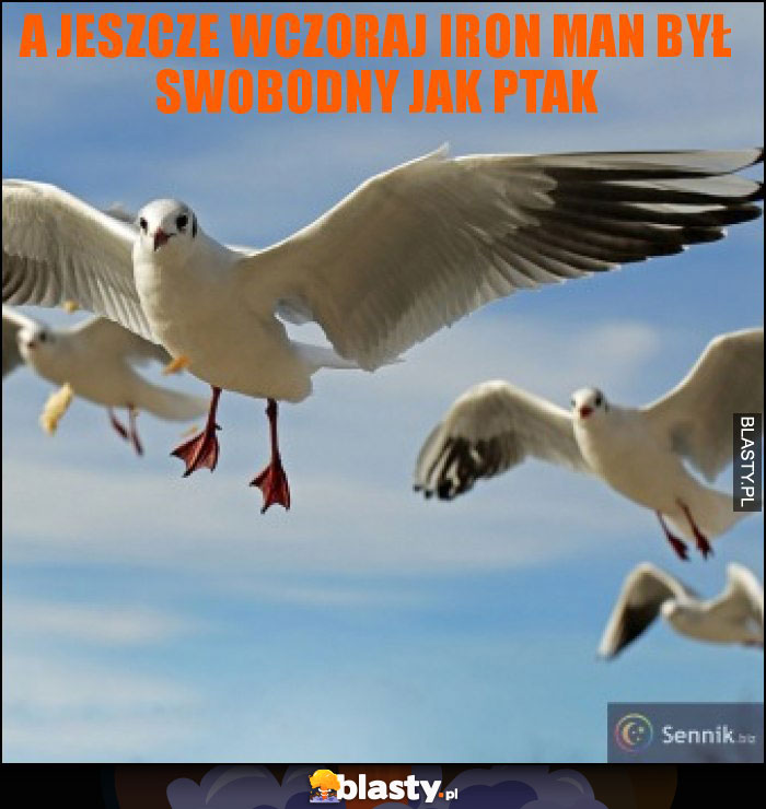 A jeszcze wczoraj Iron Man był swobodny jak ptak A jeszcze wczoraj Iron Man był swobodny jak ptak
