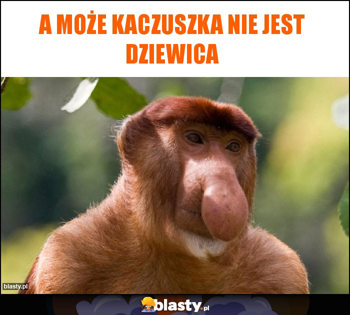 A może Kaczuszka nie jest dziewica A może Kaczuszka nie jest dziewica