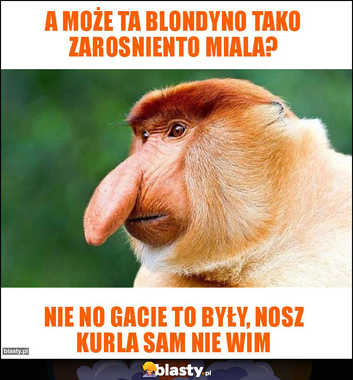 A może ta blondyno tako zarosniento miala? A może ta blondyno tako zarosniento miala?