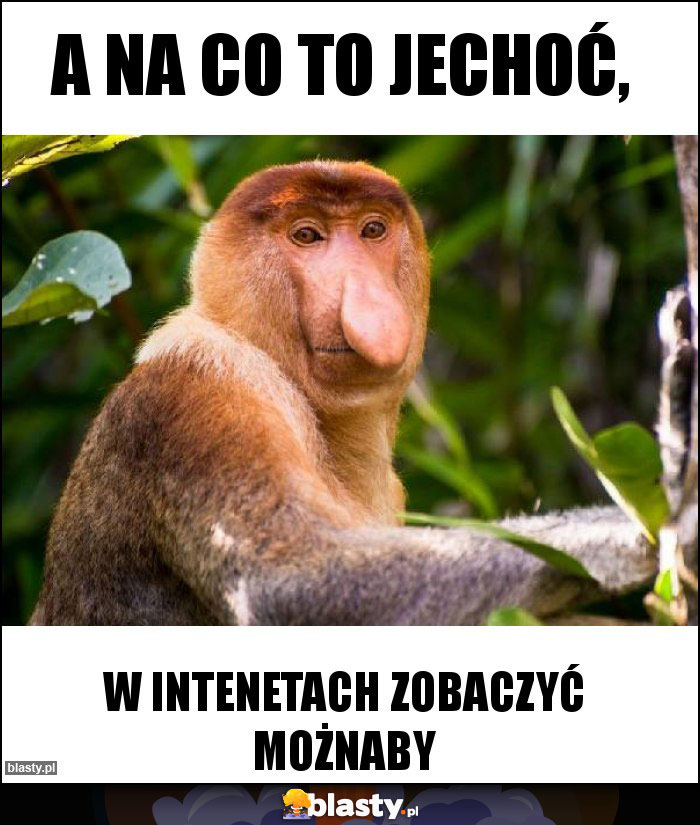 A na co to jechoć,