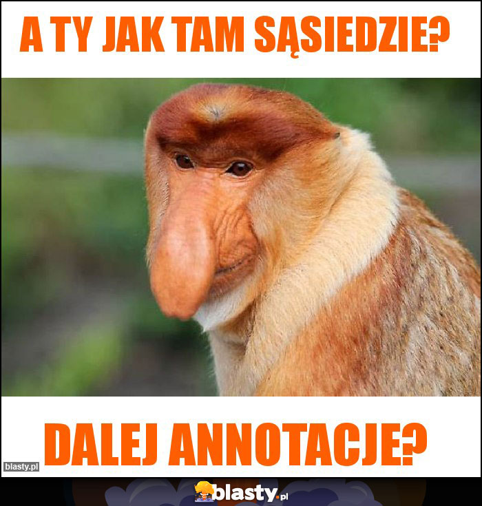 A ty jak tam sąsiedzie? A ty jak tam sąsiedzie?