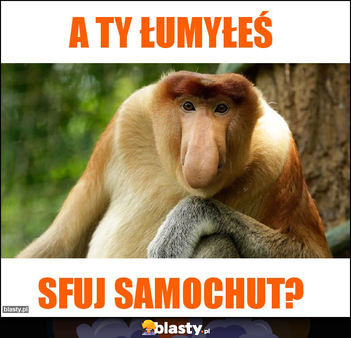 A ty łumyłeś A ty łumyłeś