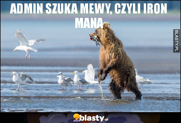 Admin szuka mewy, czyli Iron mana Admin szuka mewy, czyli Iron mana
