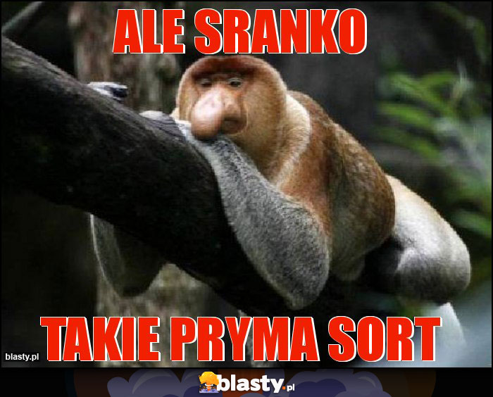 Ale sranko