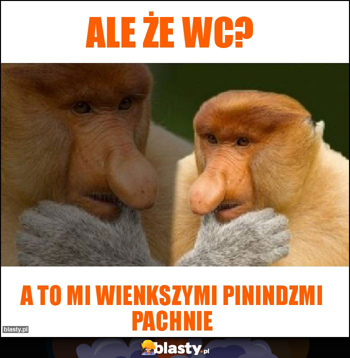ale że wc? ale że wc?