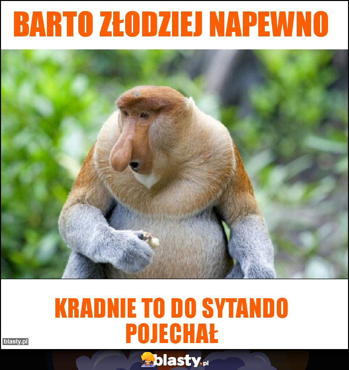 Barto złodziej napewno Barto złodziej napewno