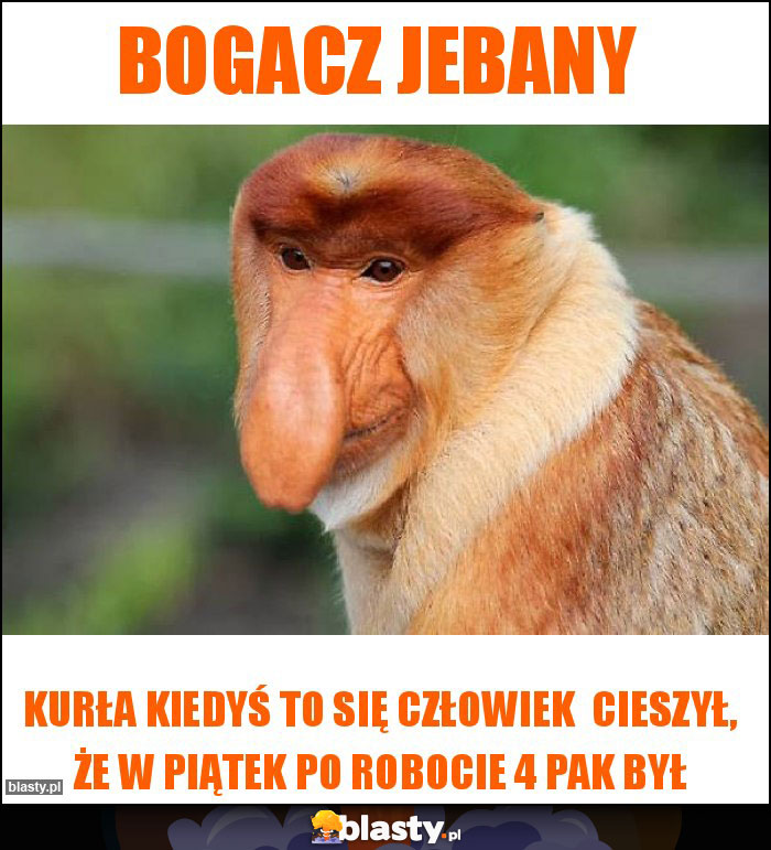Bogacz jebany Bogacz jebany