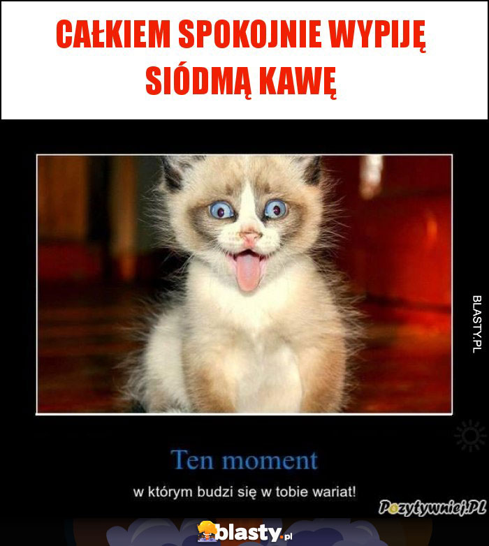Całkiem spokojnie wypiję siódmą kawę Całkiem spokojnie wypiję siódmą kawę