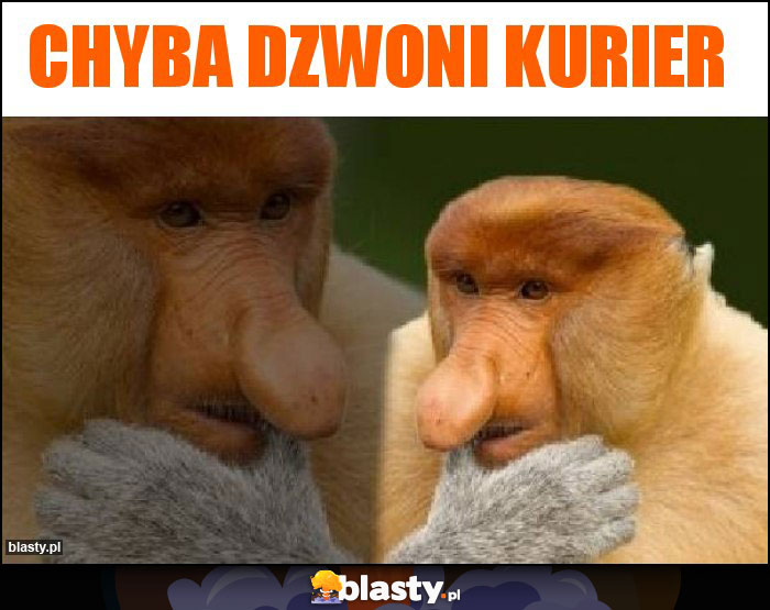 Chyba dzwoni kurier Chyba dzwoni kurier
