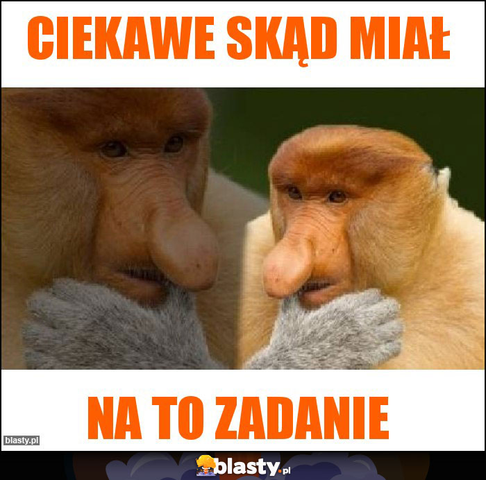 Ciekawe skąd miał Ciekawe skąd miał