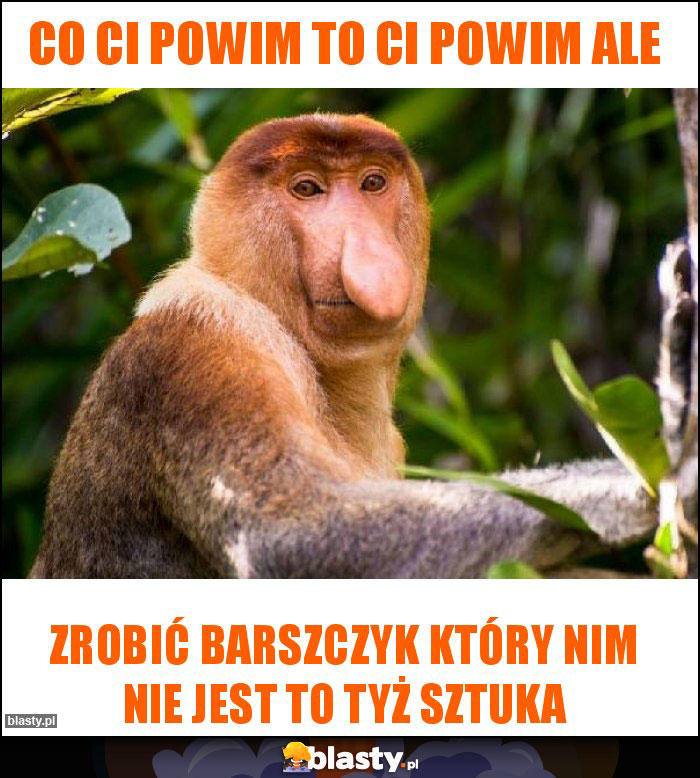 Co ci powim to ci powim ale Co ci powim to ci powim ale