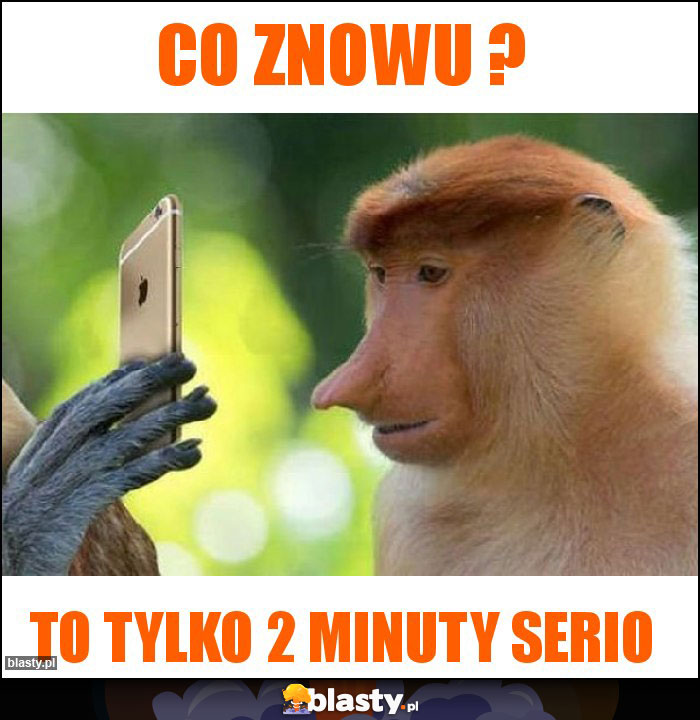 Co znowu ?
