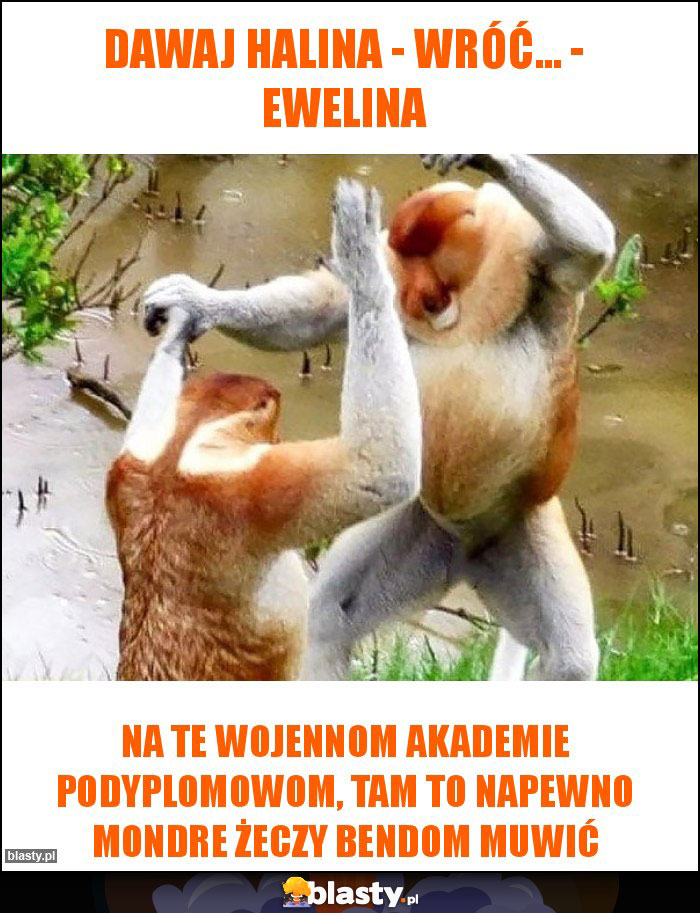 dawaj Halina - wróć... - Ewelina dawaj Halina - wróć... - Ewelina