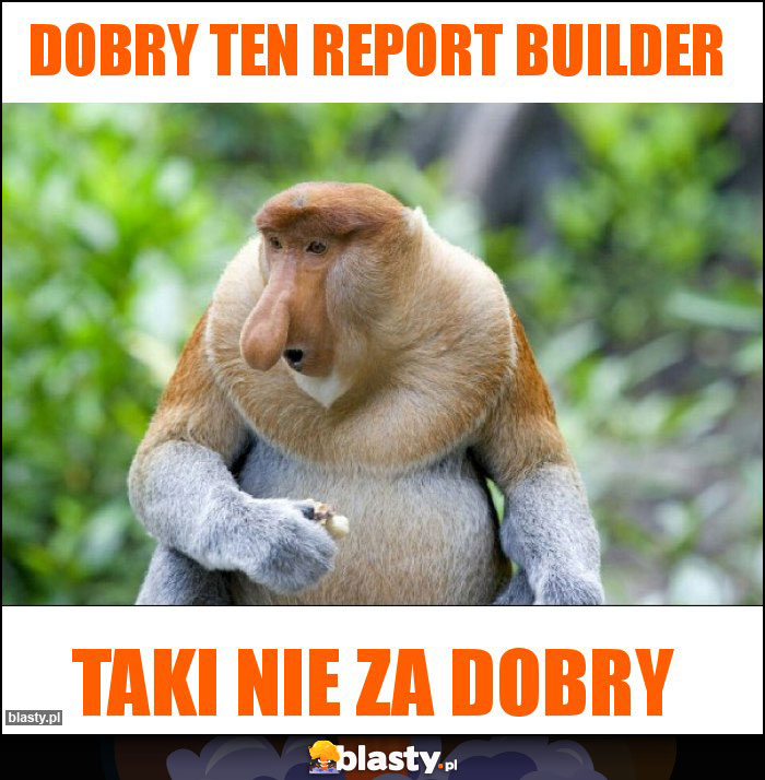 dobry ten report builder dobry ten report builder