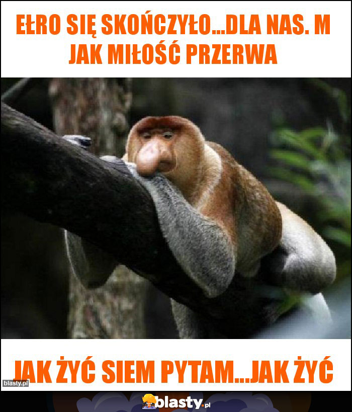 Ełro się skończyło...Dla nas. M jak miłość przerwa Ełro się skończyło...Dla nas. M jak miłość przerwa