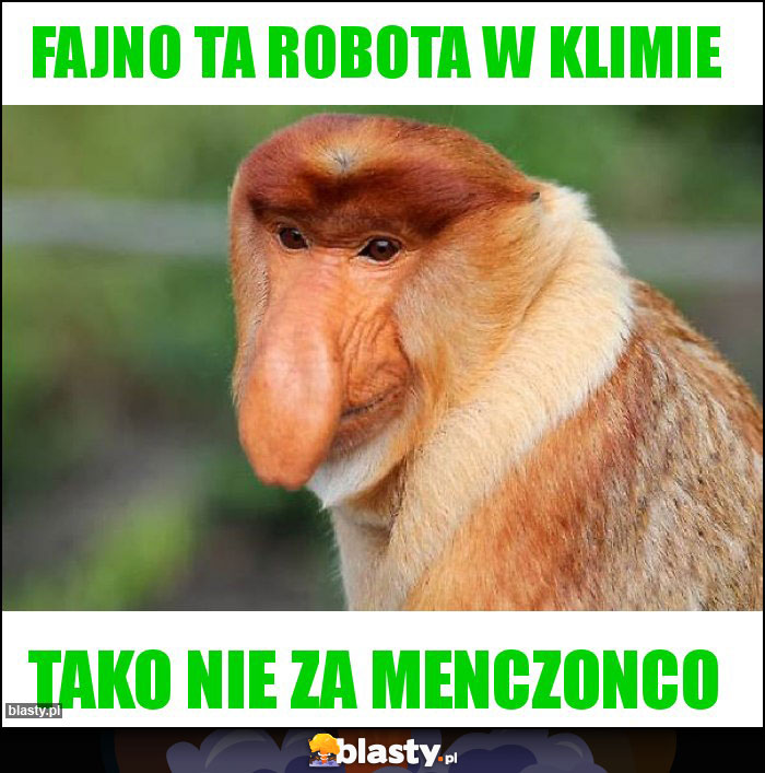 Fajno ta robota w klimie Fajno ta robota w klimie