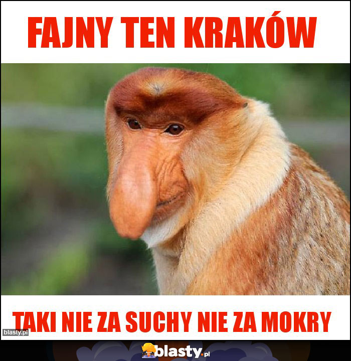 Fajny ten kraków Fajny ten kraków