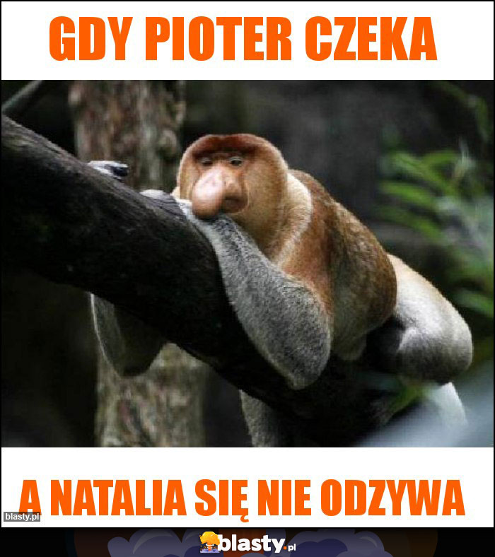 Gdy pioter czeka