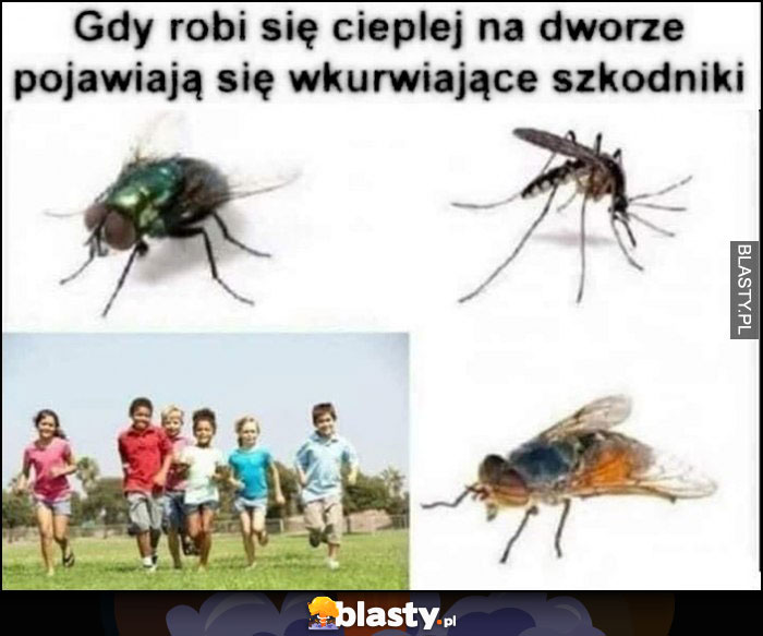 Gdy robi się cieplej na dworze pojawiają się wkurzające szkodniki insekty i dzieci